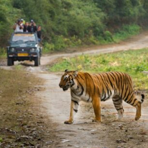 Uttarakhand