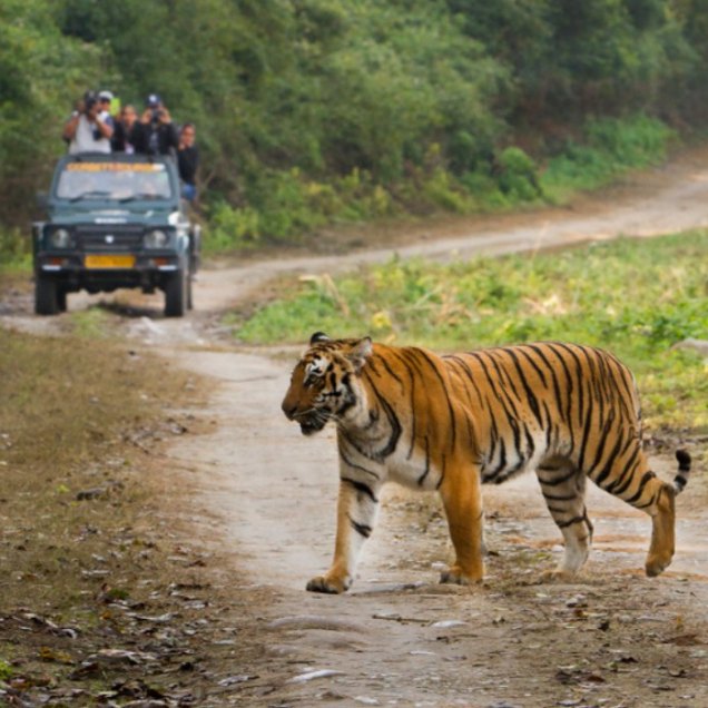 Uttarakhand